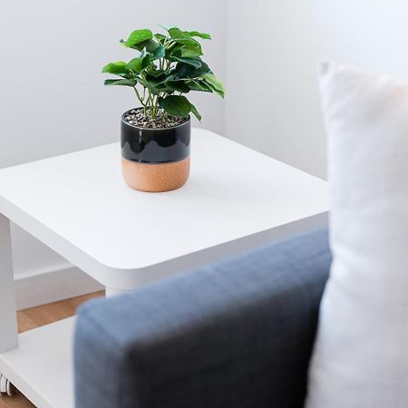 פורטו Guestready - City Retreat With A Balcony מראה חיצוני תמונה